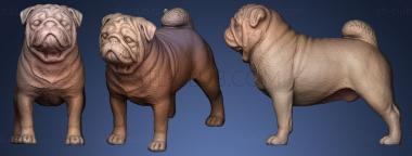 3D модель Мопс-Собака (STL)